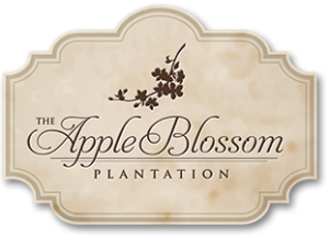 Apple Blossom Plantation | Williamsburg Wedding Reception Sites